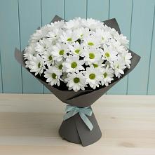 Букет цветов из:  Хризантемы в Майский