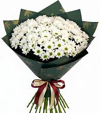 Букет цветов из:  Хризантемы в Майский
