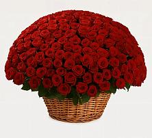 Премиум букет из: Розы #REPLACE_PRED# Майский